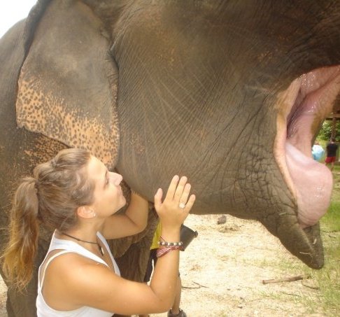 Erica Frischkorn loves animals like elephants. Frischkorn's Album