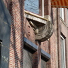 P1360186 - amsterdam
