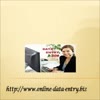 Online Data Entry