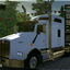 ets2 Kenworth T800 by Conte... - dutchsimulator