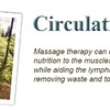 massage in Eau Claire - Picture Box