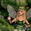 FAIRY02 - Picture Box