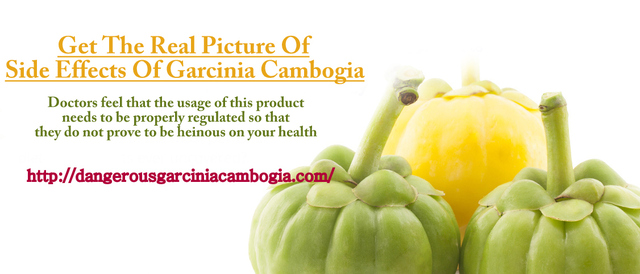Basic idea about Side Effects of Garcinia Cambogia Picture Box