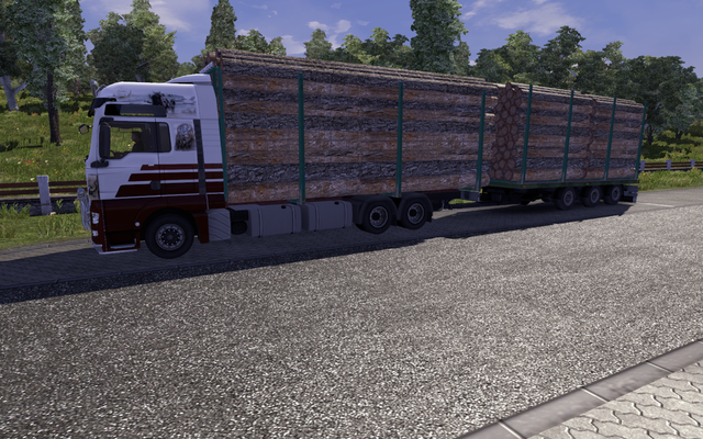 ets2 MAN TGX WOODBDF by Rinat, SCS Software dutchsimulator