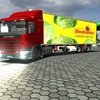 gts Scania 114L cr19 by tru... - dutchsimulator