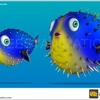 3D Fish Render for Game 2 - 2d animation