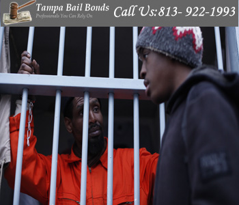 Bail Bonds Tampa Bail Bonds Tampa