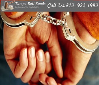 Bail Bonds Tampa Bail Bonds Tampa