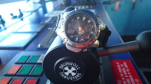 P4250510 Watches