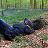  DSC9678 - Hallerbos