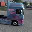 ets2 50k DAF-Jan-Tromp-Tran... - dutchsimulator