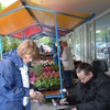 plantjesmarkt 2014 (6) - plantjesmarkt 2014