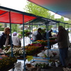 plantjesmarkt 2014