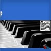 Grand Pianos - Piano Distributors