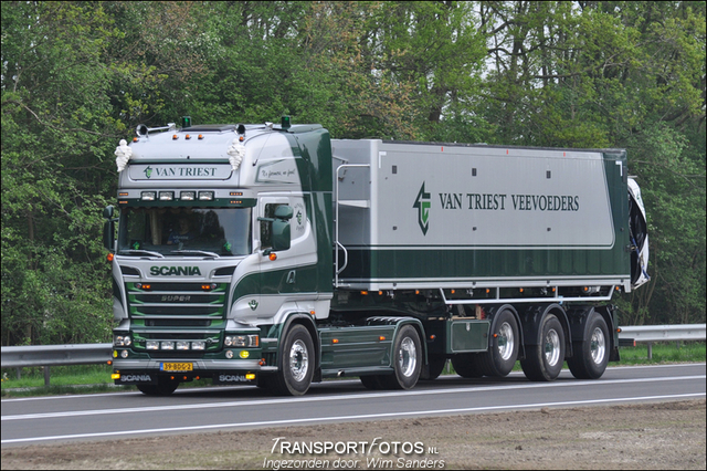 triest 39bdg2-TF Ingezonden foto's 2014