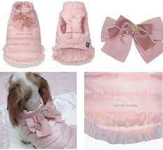 clothes for little dogs Picture Box