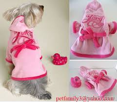 clothes for little dogs1 Picture Box