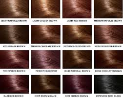hair color xpert screst view Picture Box