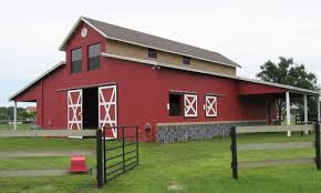 horse barn fly systems Picture Box