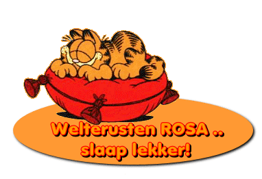 slaap lekker+garfield+kussen - 