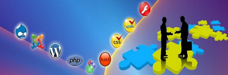 Web Design Dubai Picture Box