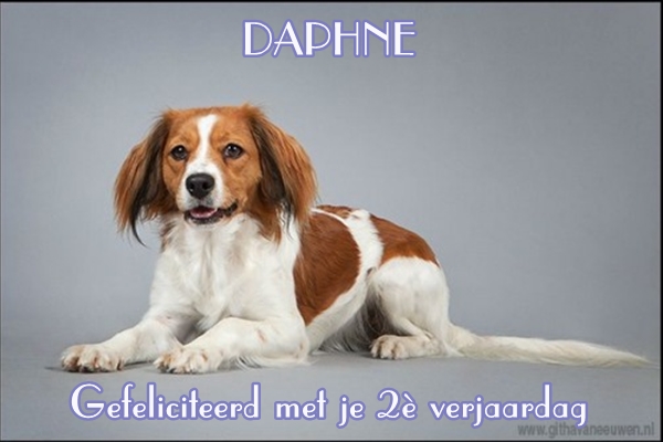 daphne-2 prive