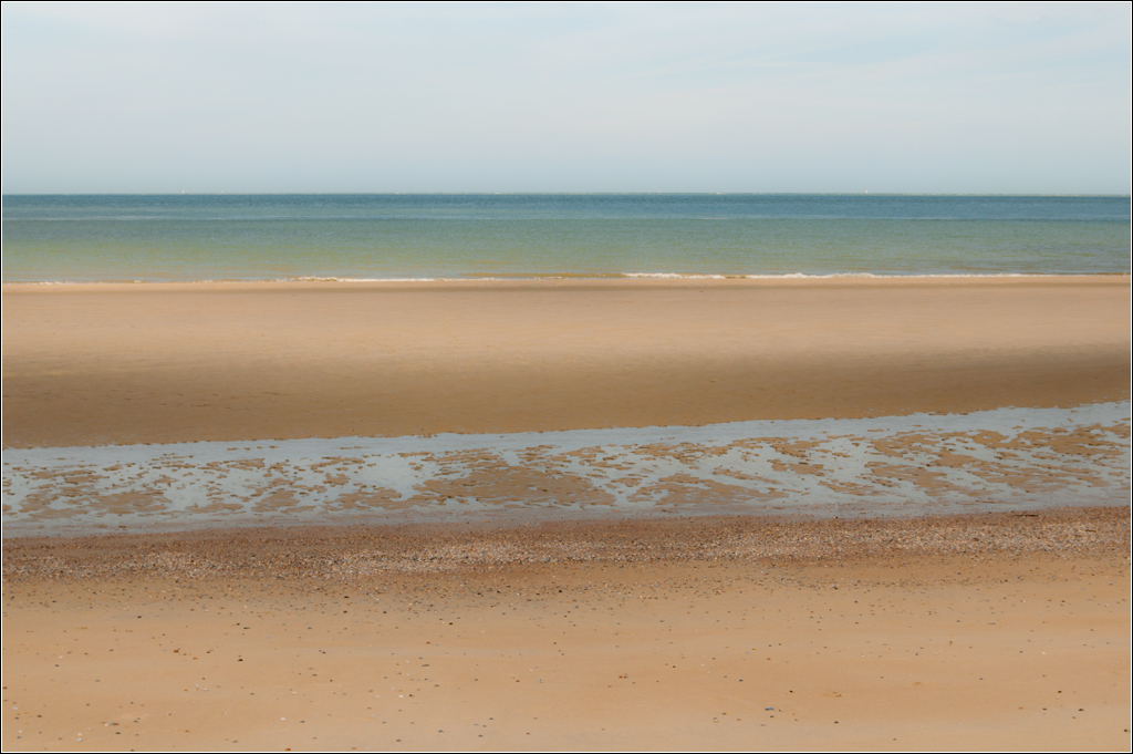 DSC 7327 Colors of nature - 