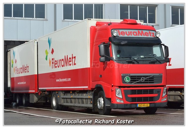 FleuraMetz BZ-HG-41-BorderMaker Richard