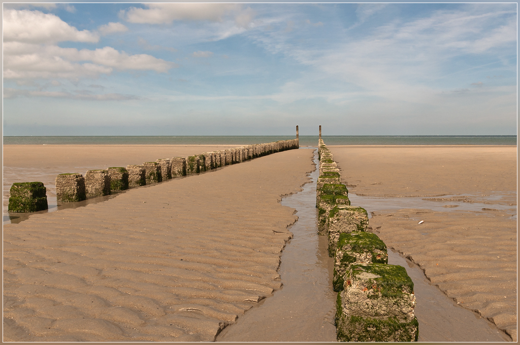 DSC 7325 Net boven het zand - 