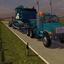 fs13 SARENS TRANSPORTS V2  ... - Farming Simulator 2013