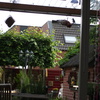 Tuin - Vlaamse Gaai 02-06-1... - In de tuin 2013