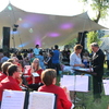 R.Th.B.Vriezen 2014 06 06 3534 - Arnhems Fanfare Orkest Chuc...