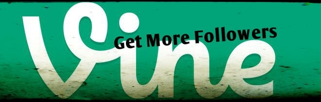 Cheap vine followers Picture Box