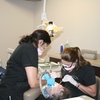 Cosmetic Dentist - Creative Smiles Dental