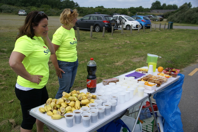 DSC03366 Rondje Voorne 15-6-2014