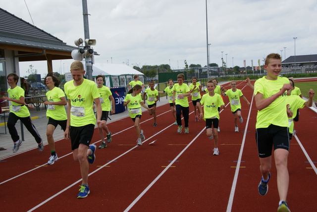 DSC03424 Rondje Voorne 15-6-2014