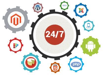 Web Developers India Web Development Company