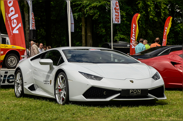  DSC4954-BorderMaker Concours d'elegance '14