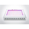 GrowPanel Pro 600w LED Grow... - Picture Box