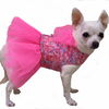 clothes for little dogs - images