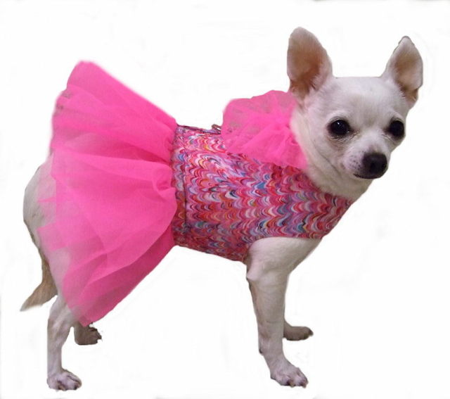 clothes for little dogs images