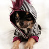 clothes for little dogs1 - images