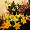Fresh flowers and floral ar... - Picture Box