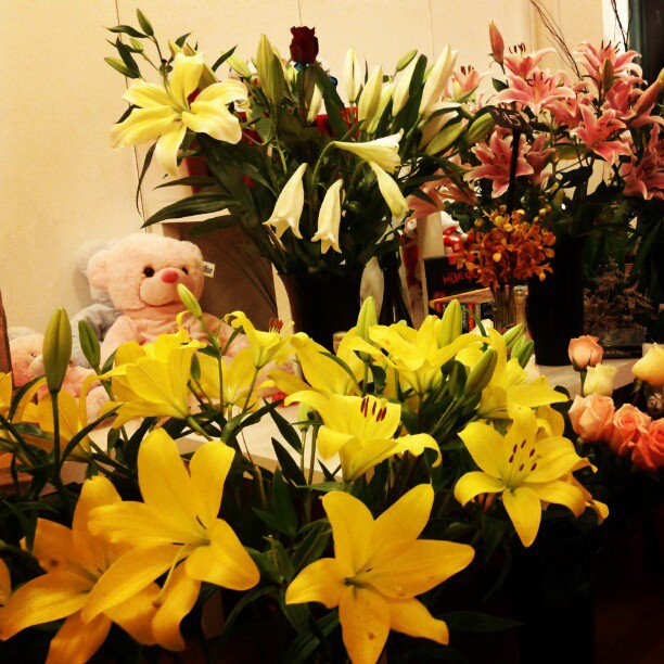 Fresh flowers and floral arrangements at Florist M Picture Box
