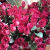 Deliver red roses to Melbourne - Picture Box