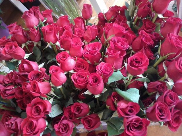 Deliver red roses to Melbourne Picture Box