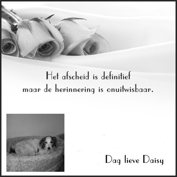 daisy-kaart prive