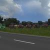 fs13 modpack MR ZETOR by ma... - Farming Simulator 2013