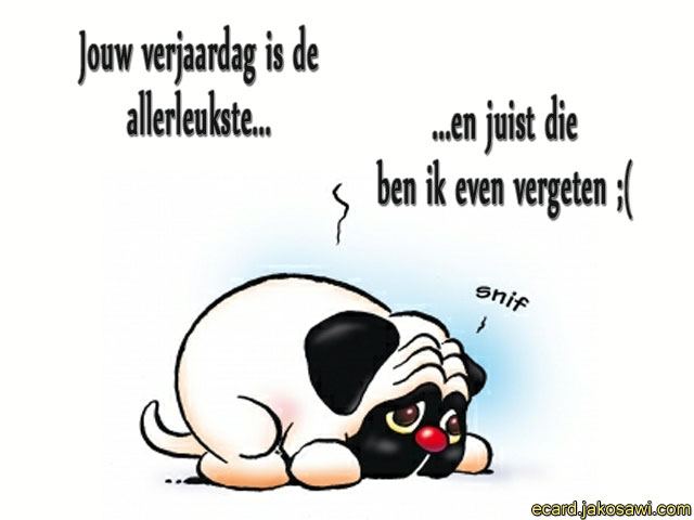 verjaardag vergeten hondje 1201 - 