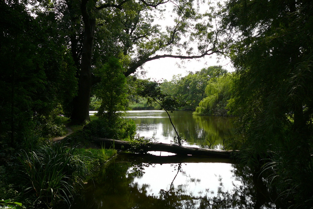 P1010582 - Vondelpark